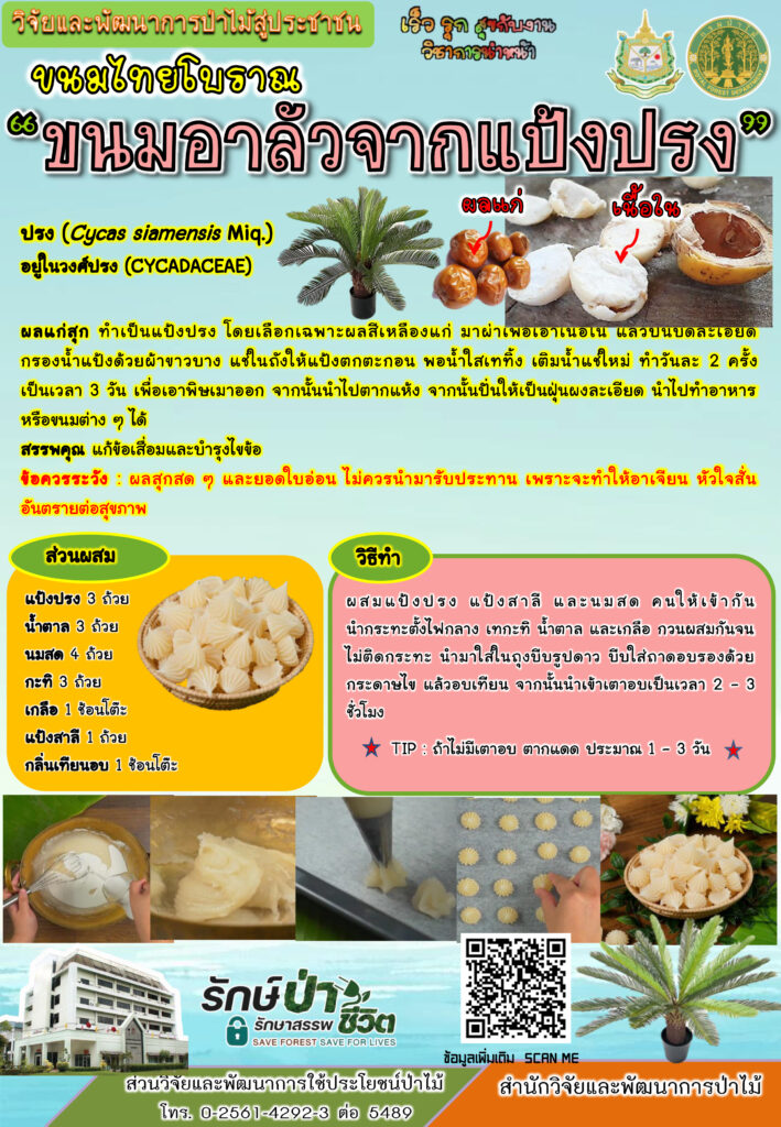 thumbnail of ขนมไทยโบราณ-ขนมอาลัวจากแป้งปรง