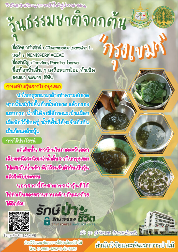 thumbnail of วุ้นธรรมชาติจากต้นกรุงเขมา