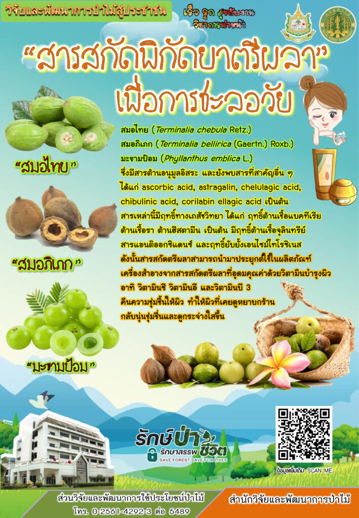 thumbnail of สารสกัดพิกัดยาตรีผลาเพื่อการชะลอวัย