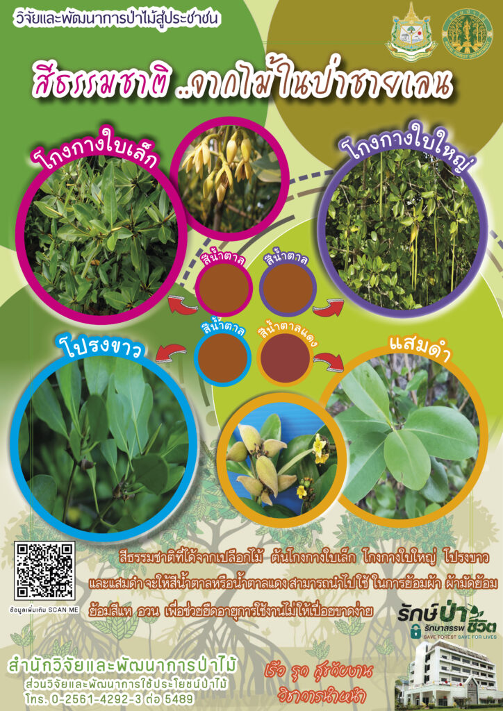 thumbnail of สีธรรมชาติจากไม้ในป่าชายเลน