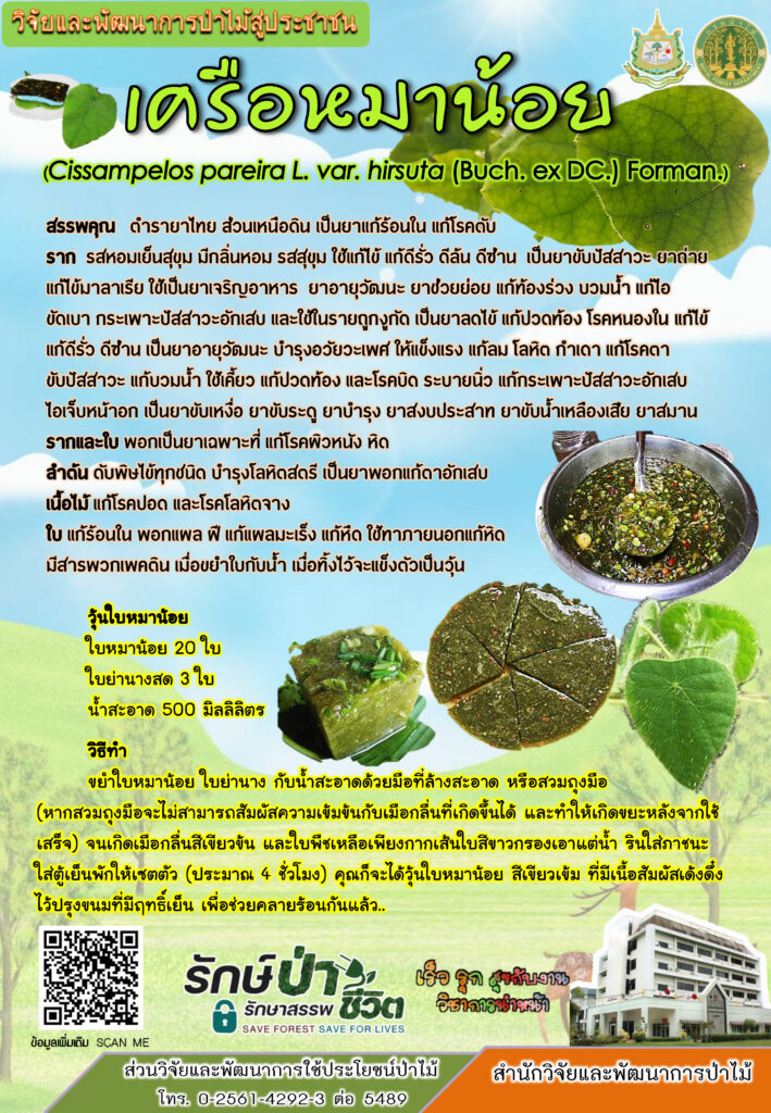 thumbnail of เครือหมาน้อย